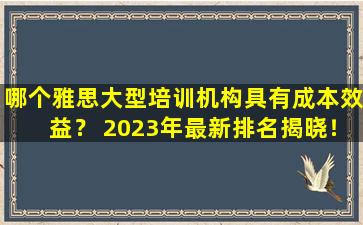 哪个雅思大型培训机构具有成本效益？ 2023年最新排名揭晓！